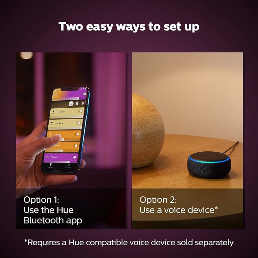 Philips Hue ブルーム　2個セット Philips Hue ブルーム 2個セット Philips Hue Dimmer + 2pk